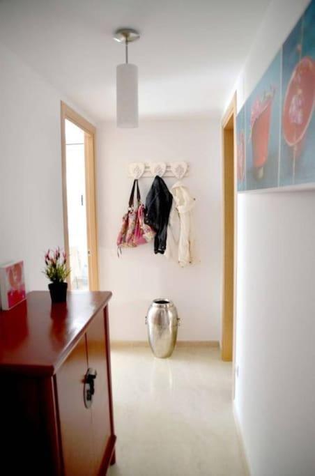 Residence Avec Piscine Face A La Mer, 1Ere Ligne Llança Eksteriør billede