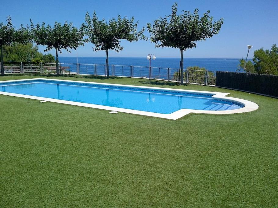 Residence Avec Piscine Face A La Mer, 1Ere Ligne Llança Eksteriør billede