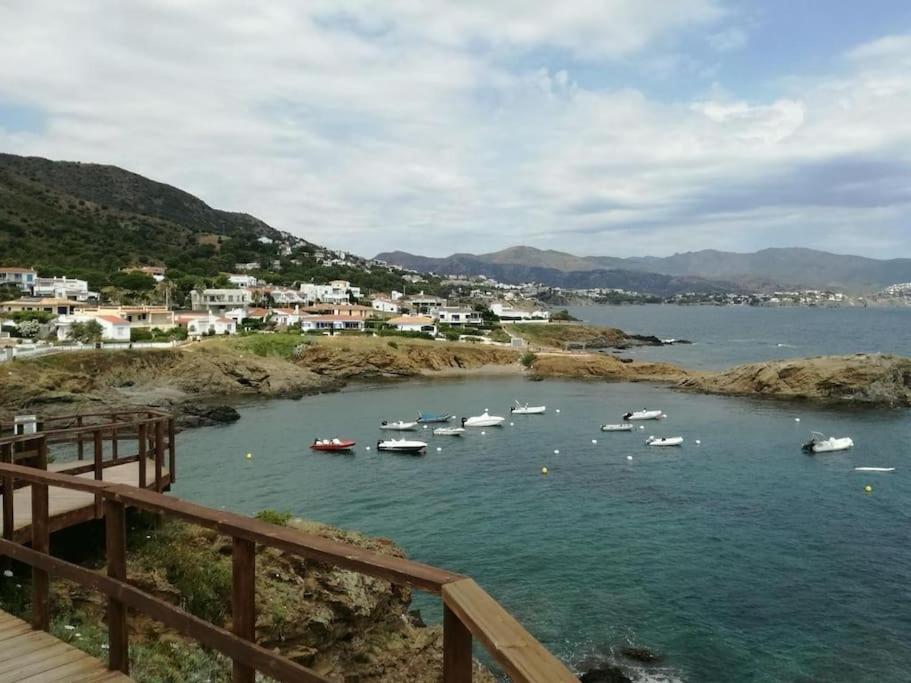 Residence Avec Piscine Face A La Mer, 1Ere Ligne Llança Eksteriør billede